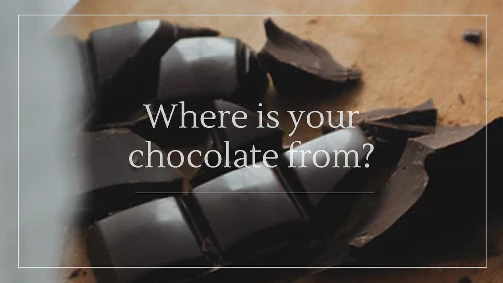 Child Slavery in West African Cacao Farms - Is Your Chocolate a Product of Child Labor and Exploitation?