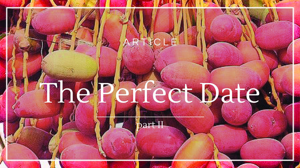 The Perfect Date (Part 2)