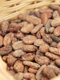 Bean-to-Bar Chocolate Making Workshop for a Group of 6