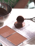 POD TOUR & CHOCOLATEMAKING - 90 MIN FARM TO BAR TOUR - Co Chocolat - Finally, Truly Healthy Chocolates