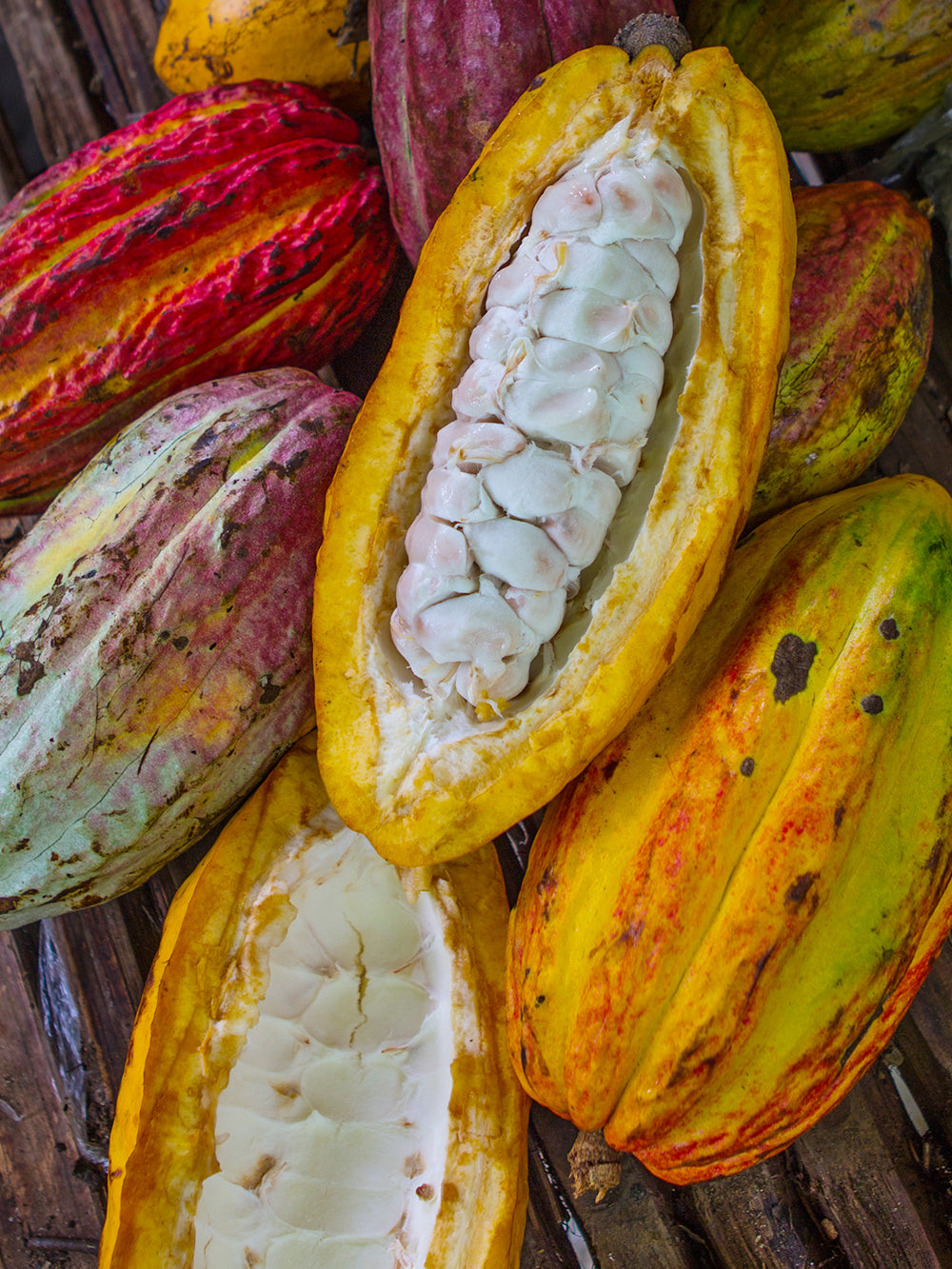 POD TOUR & CHOCOLATEMAKING - 90 MIN FARM TO BAR TOUR - Co Chocolat - Finally, Truly Healthy Chocolates
