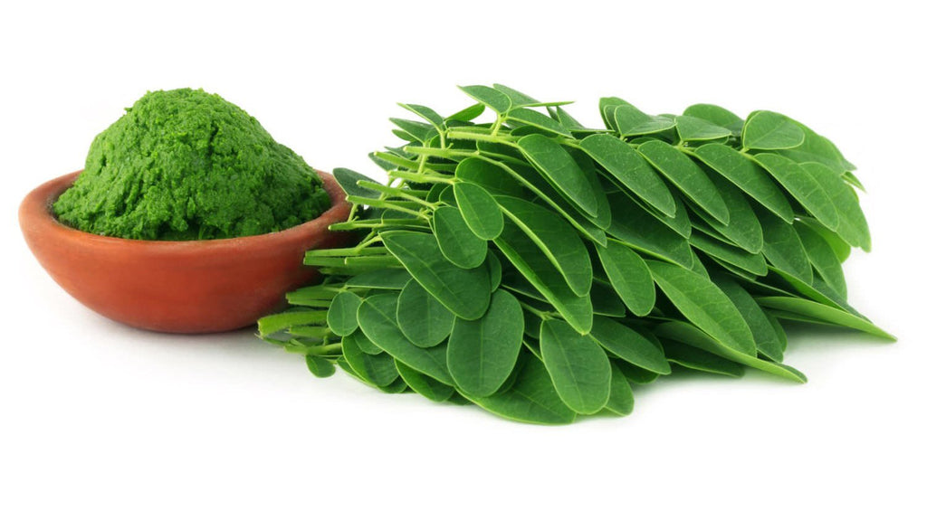 Moringa oleifera: A review on nutritive importance and its medicinal application