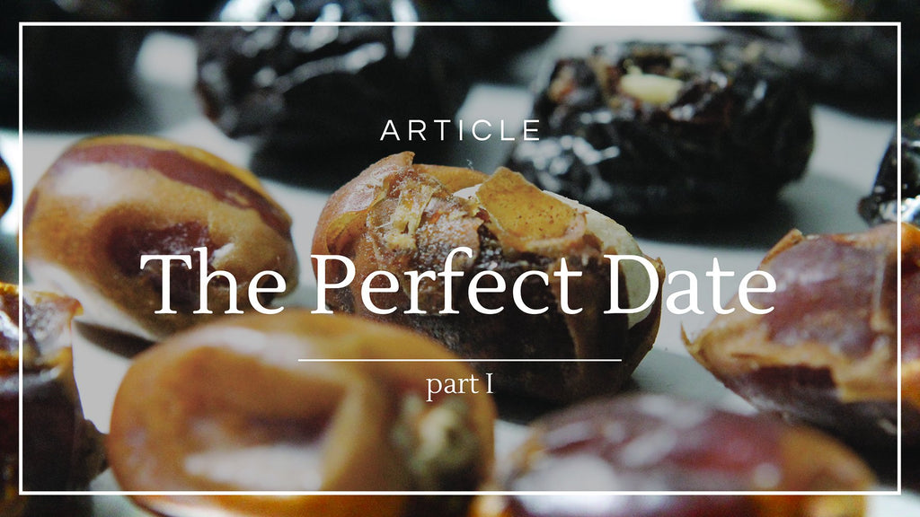 The Perfect Date (Part 1)