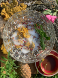 Autumn Equinox: A Ladies-Only Herbal Rituals Workshop