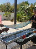 From Water to Art: Silk Scarf Marbling Workshop