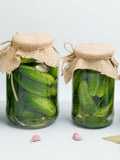 Probiotic Play Workshop - Begin Your Journey with the Ferments