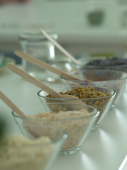 Xocolatl Skincare Workshop
